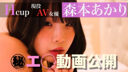 無修正新着動画UP中